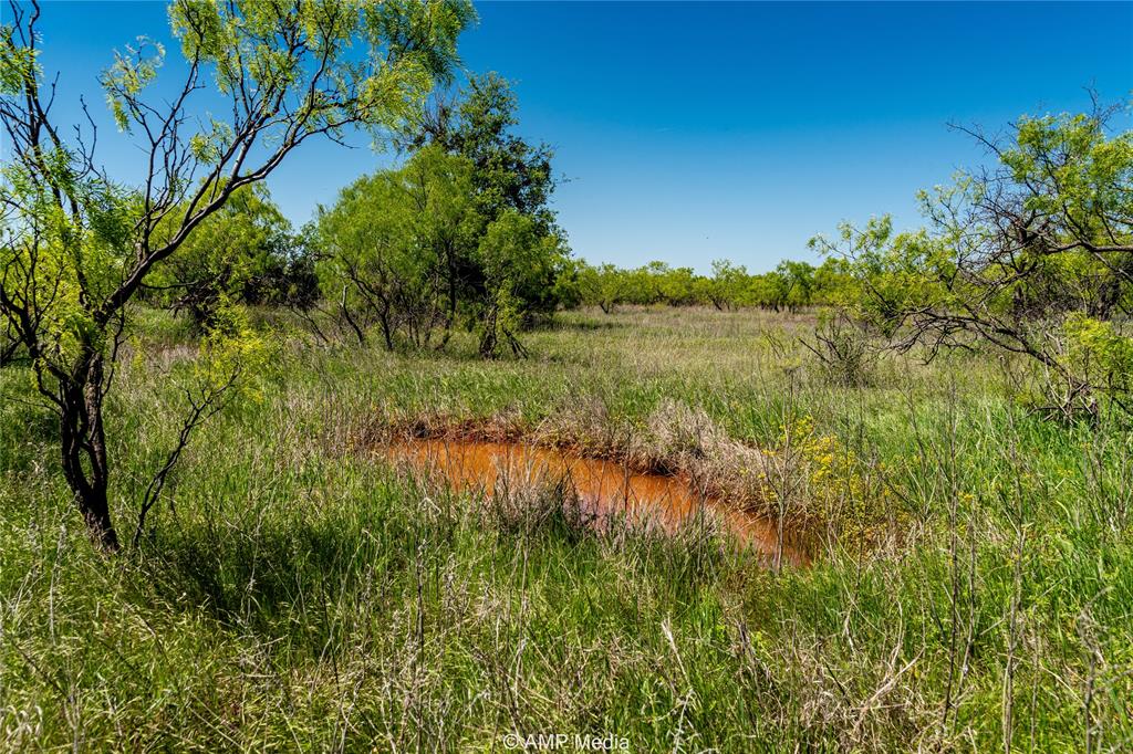 600 St Haskell Tx 79521 Haskell, TX 79521 - Photo 15 of 25 View of nature
