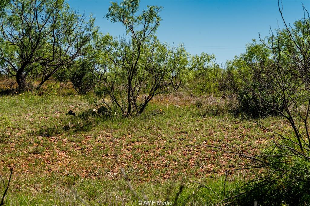 600 St Haskell Tx 79521 Haskell, TX 79521 - Photo 17 of 25 View of local wilderness