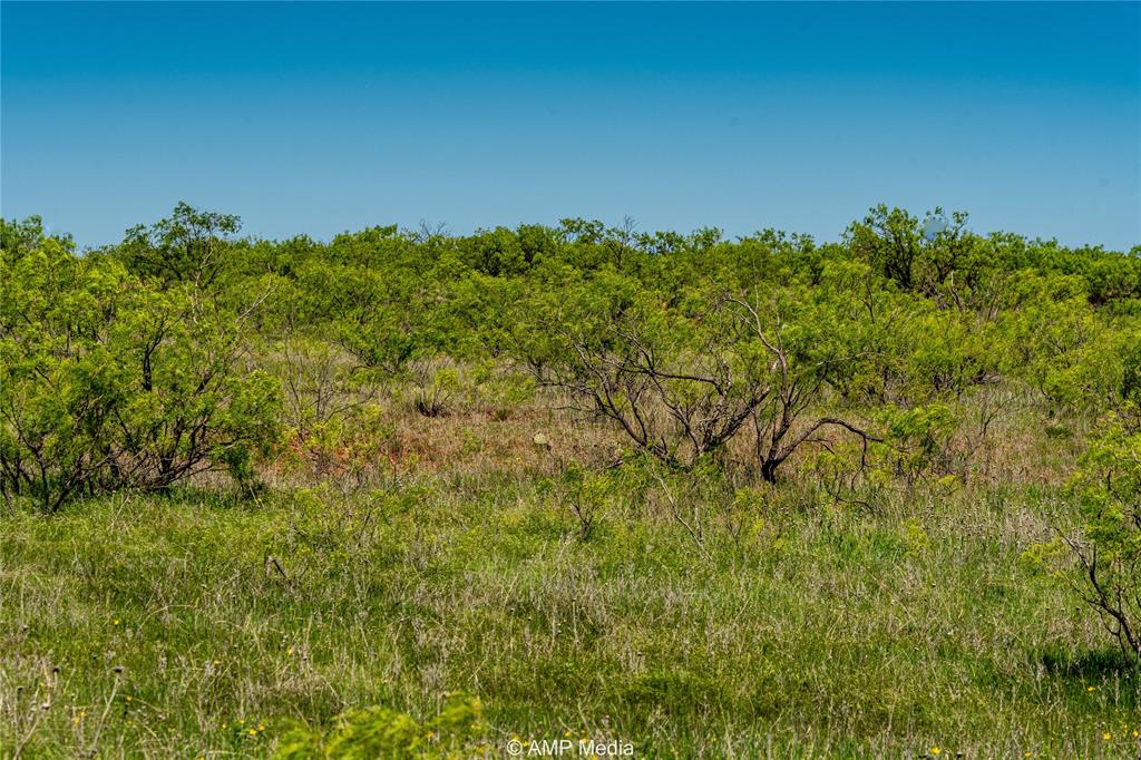 600 St Haskell Tx 79521 Haskell, TX 79521 - Photo 19 of 25 View of local wilderness