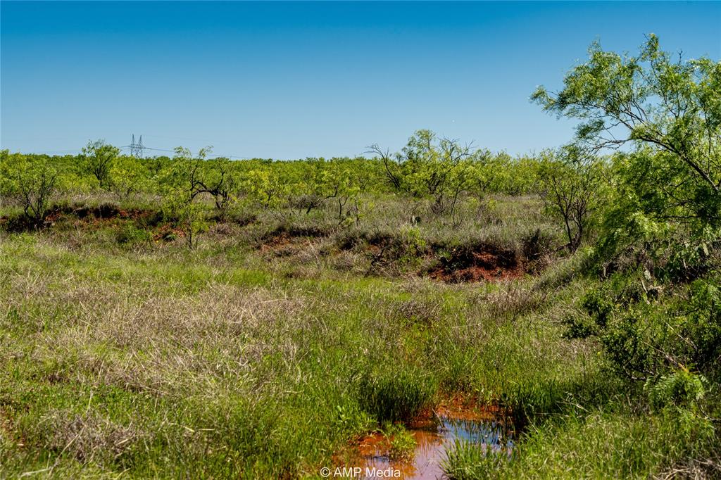 600 St Haskell Tx 79521 Haskell, TX 79521 - Photo 21 of 25 View of nature