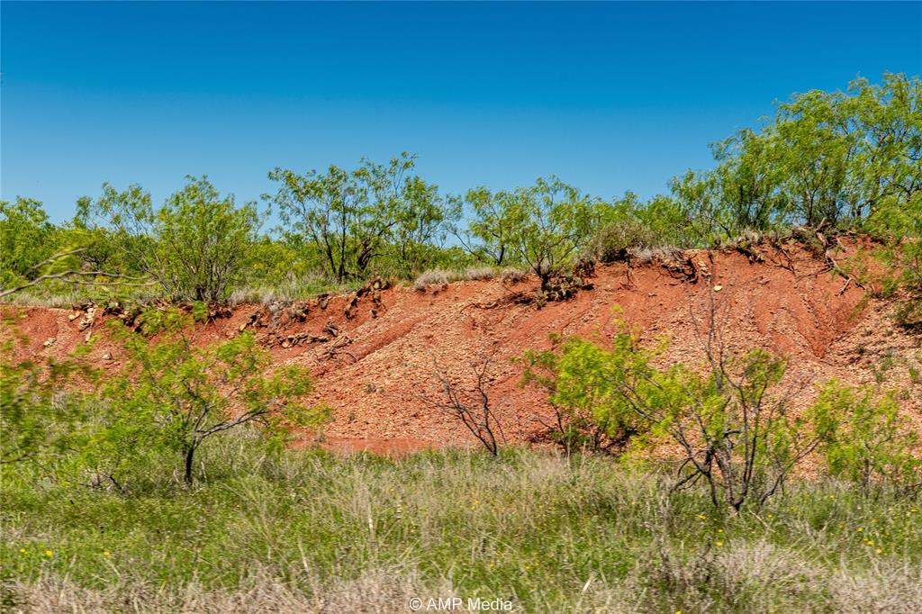 600 St Haskell Tx 79521 Haskell, TX 79521 - Photo 24 of 25 View of local wilderness