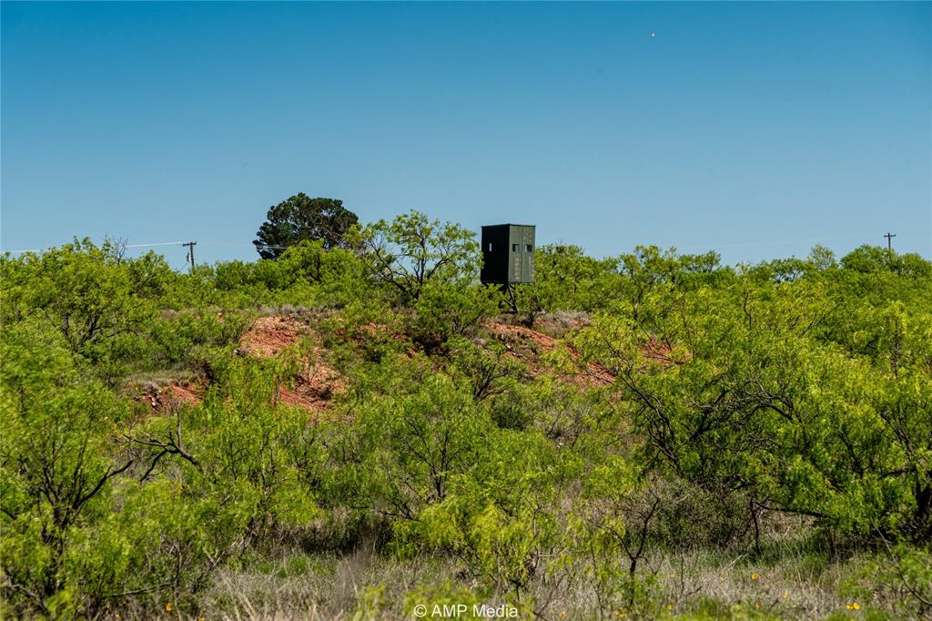 600 St Haskell Tx 79521 Haskell, TX 79521 - Photo 3 of 25 View of mother earth's splendor