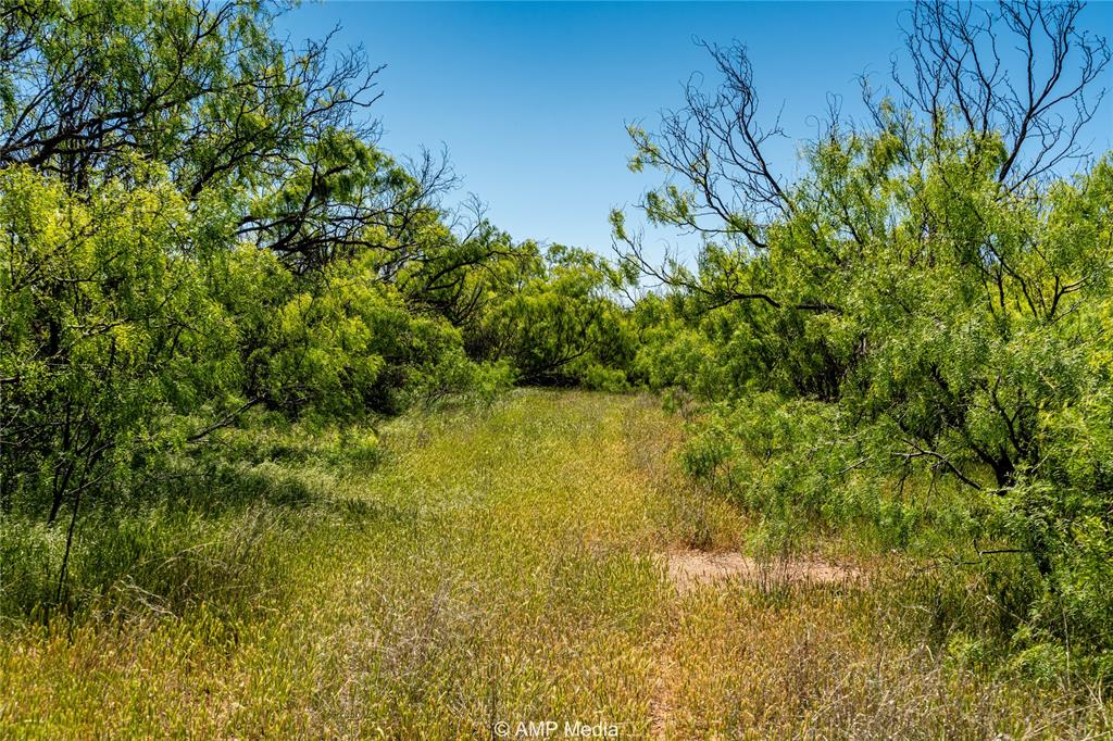 600 St Haskell Tx 79521 Haskell, TX 79521 - Photo 7 of 25 View of local wilderness