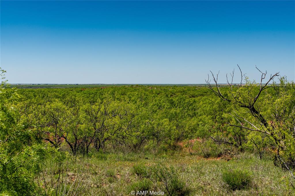600 St Haskell Tx 79521 Haskell, TX 79521 - Photo 8 of 25 View of mother earth's splendor