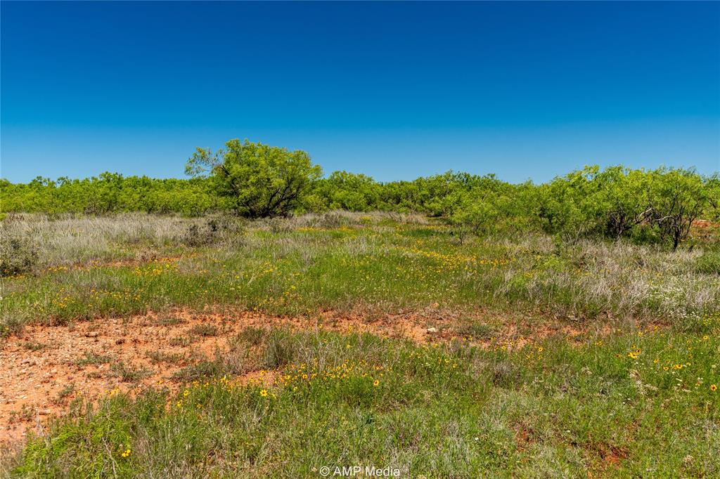 600 St Haskell Tx 79521 Haskell, TX 79521 - Photo 10 of 25 View of nature
