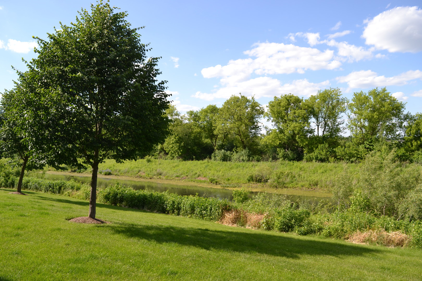3372 Cameron Drive Elgin, IL 60124 - Photo 18 of 18 a view of a park with large trees