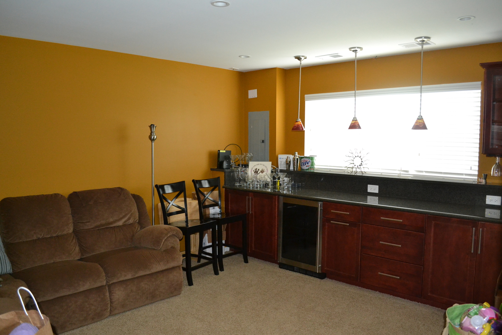 3372 Cameron Drive Elgin, IL 60124 - Photo 9 of 18 a living room with furniture a large window and a sink