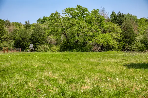 a view of yard with green space