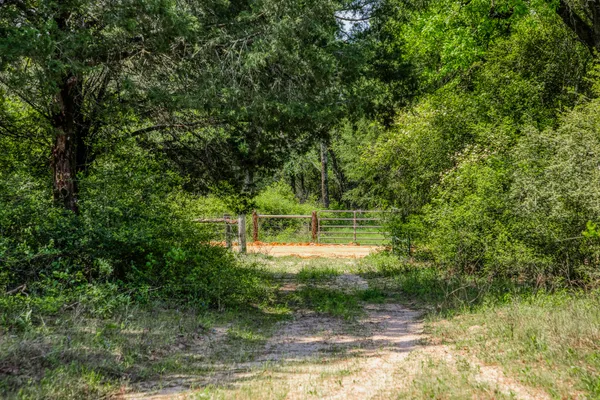 a view of a small yard