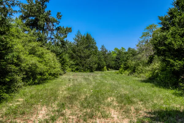 a view of a yard with a tree