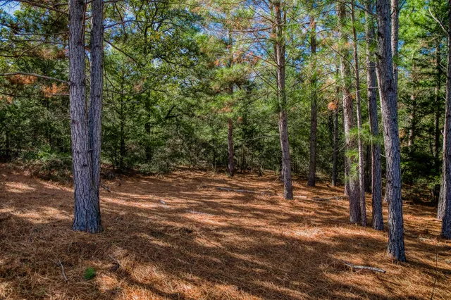 a backyard of a house with lots of trees