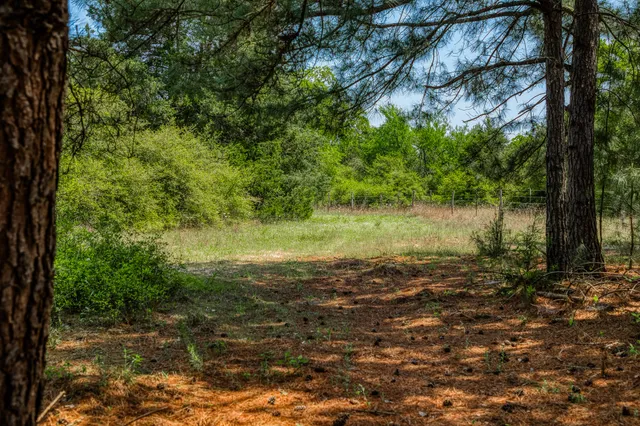 a view of a lake with lots of trees