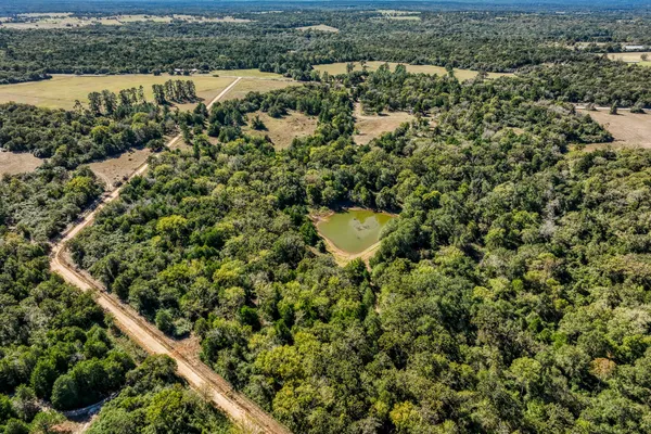 an aerial view of residential houses with outdoor space and trees