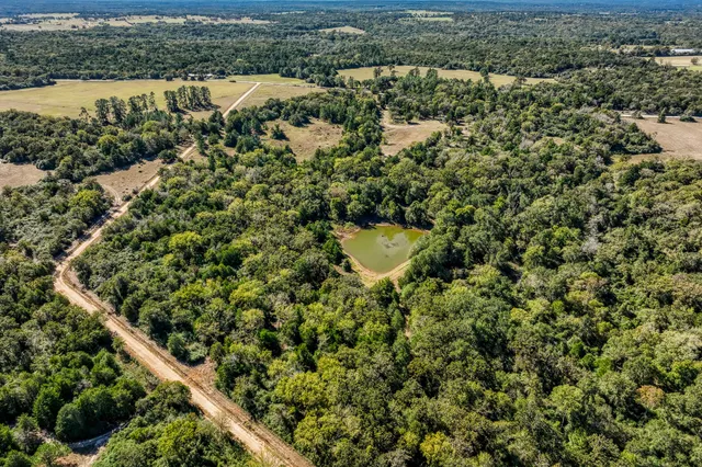 an aerial view of residential houses with outdoor space and trees