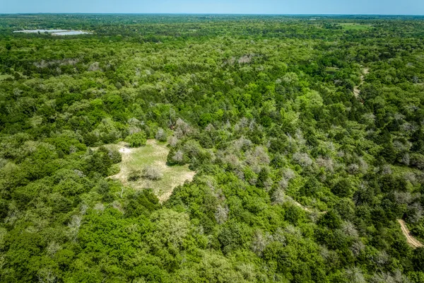 a view of a big yard with plants and large trees