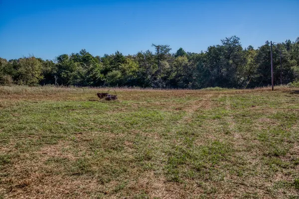a view of a field with trees in the background