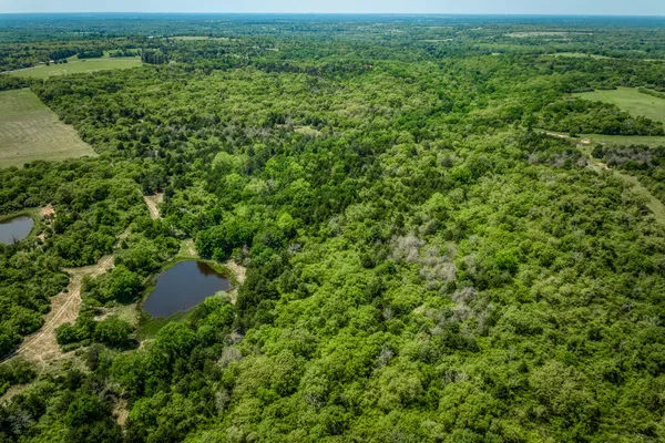 an aerial view of residential houses with outdoor space and trees