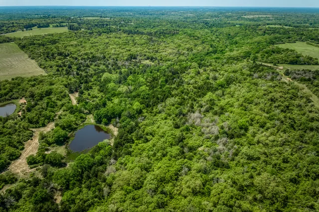 an aerial view of residential houses with outdoor space and trees