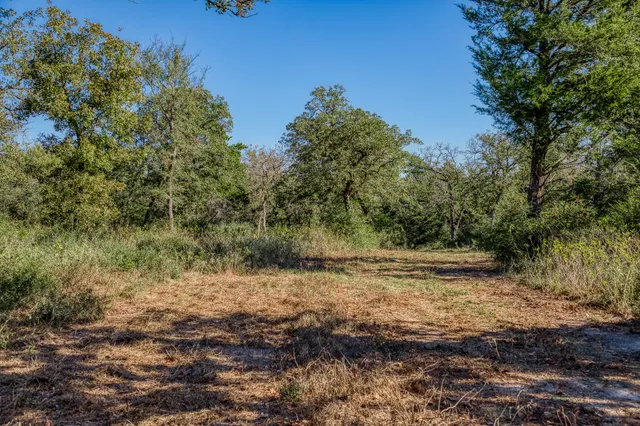 a big yard with lots of green space