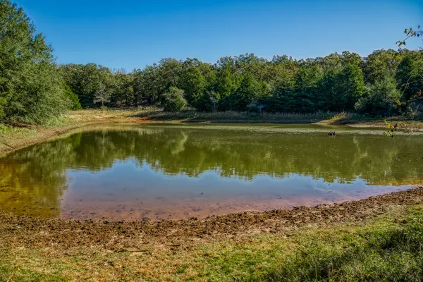 a view of a lake with a yard