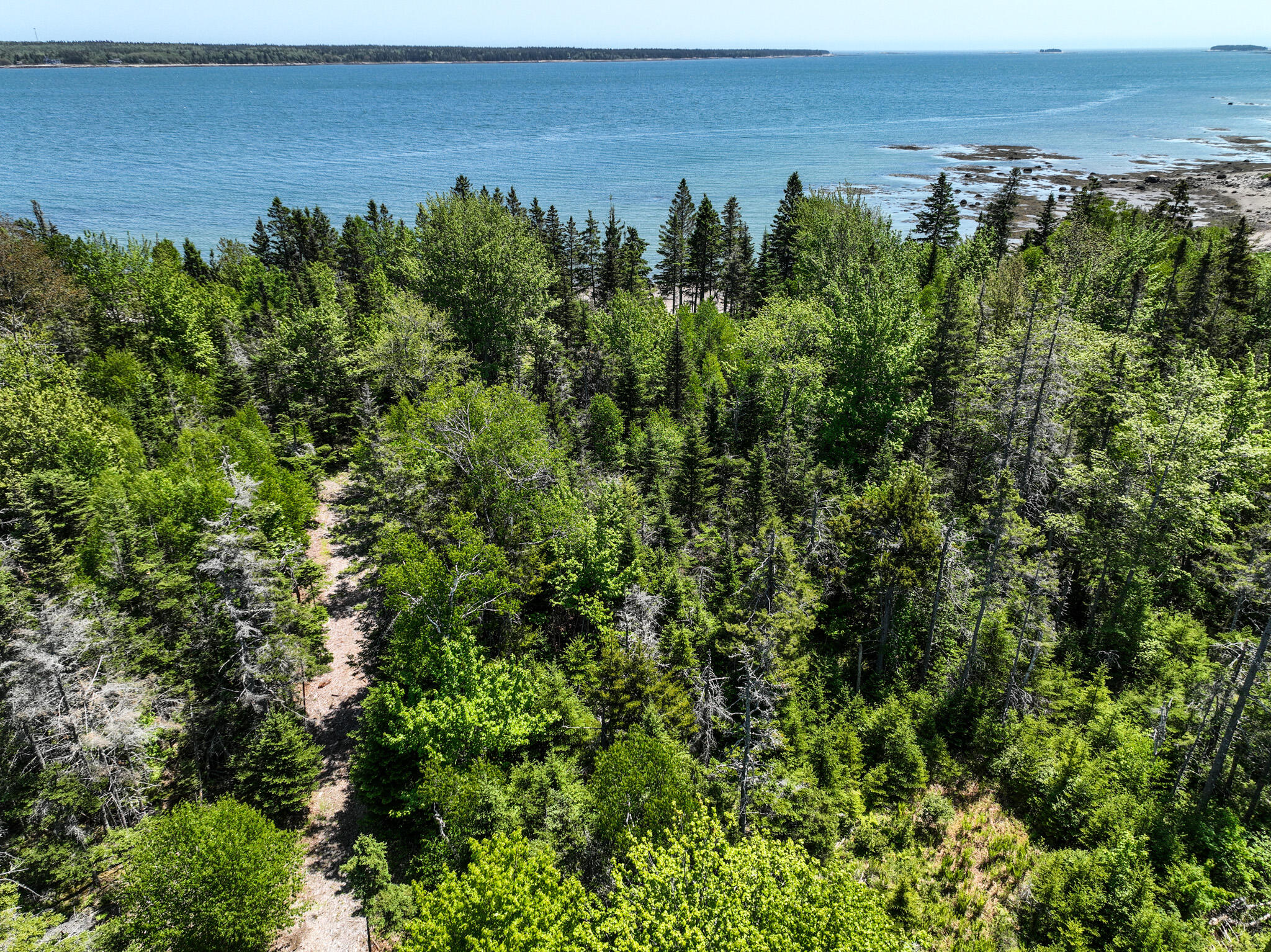 19 Peninsula Shore Road Corea, ME 04624 - Photo 30 of 41 DJI_0663