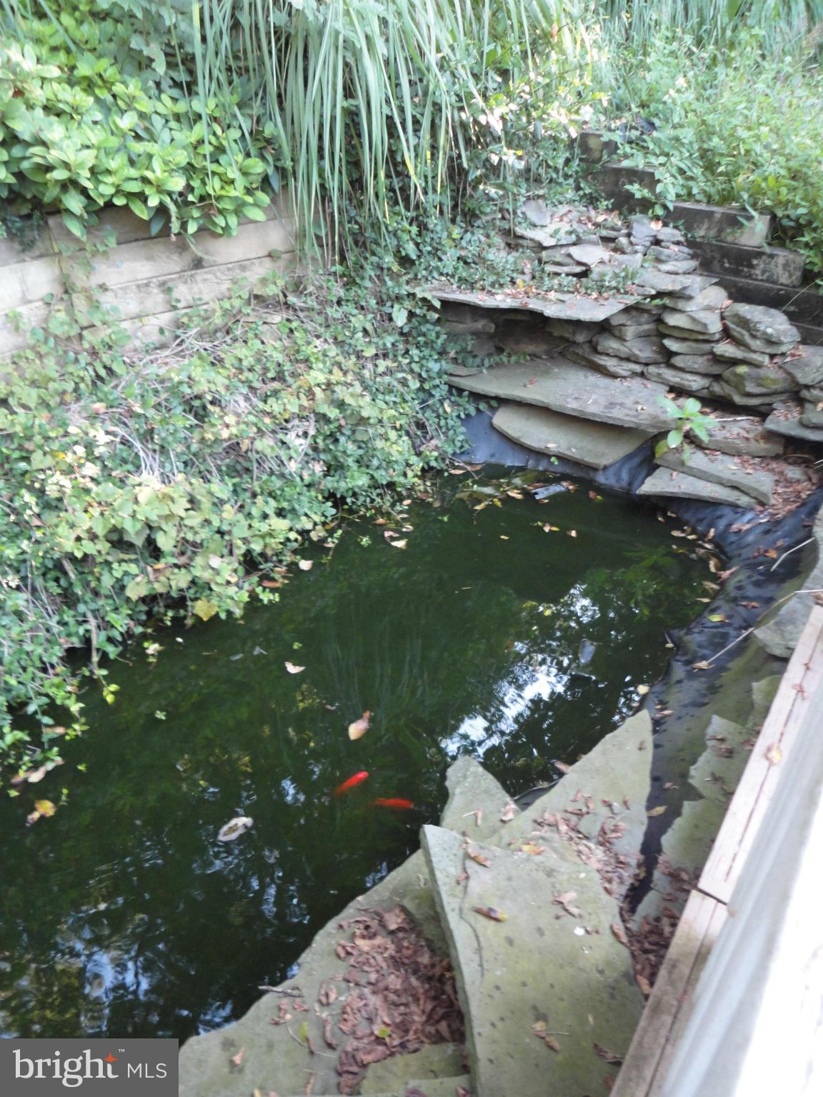 14637 Thornton Mill Road Sparks, MD 21152 - Photo 18 of 18 Fish Pond