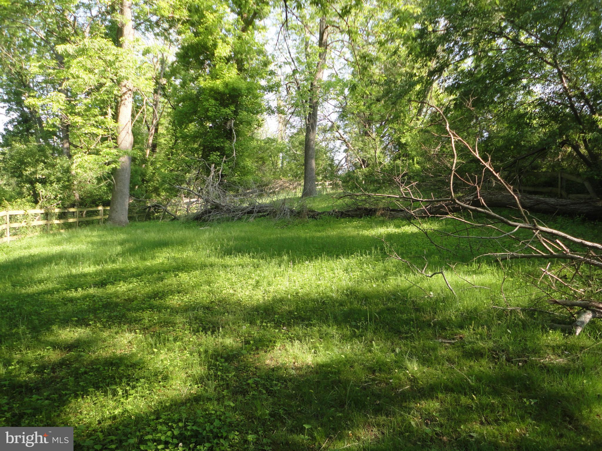 14637 Thornton Mill Road Sparks, MD 21152 - Photo 8 of 18 Back Yard
