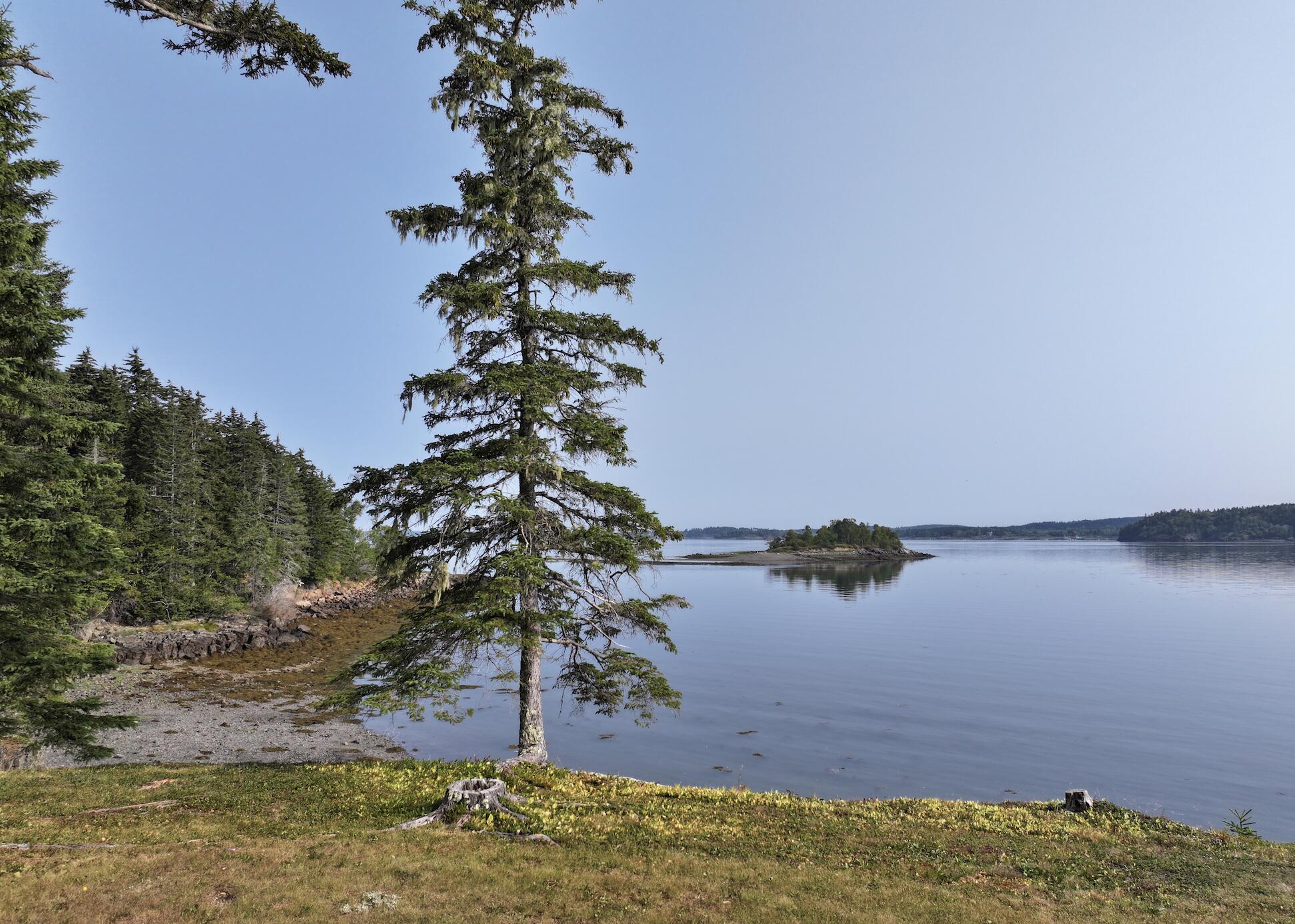 799 North Lubec Road Lubec, ME 04652 - Photo 21 of 118 View