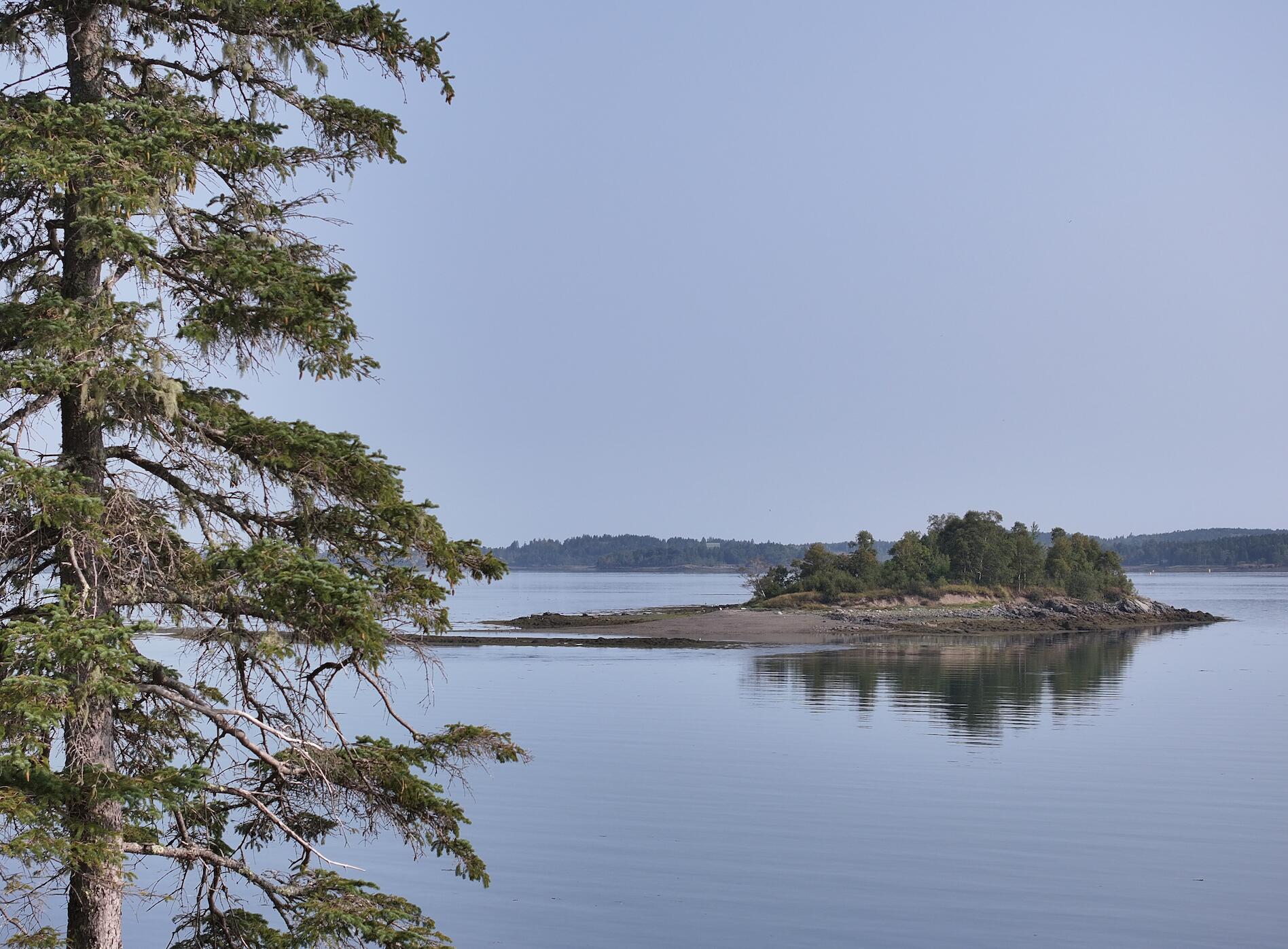 799 North Lubec Road Lubec, ME 04652 - Photo 23 of 118 View
