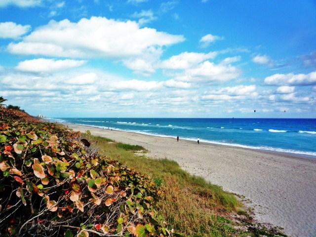 6455 Garrett Street Jupiter, FL 33458 - Photo 35 of 35 Jupiter Beach