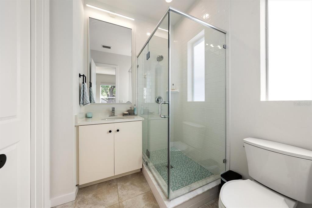 3901 West Granada Street Tampa, FL 33629 - Photo 26 of 45 a bathroom with a shower sink vanity mirror and toilet