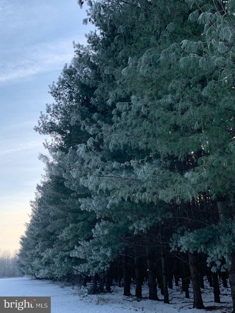 1301 Bridgetown Road Henderson, MD 21640 - Photo 7 of 27