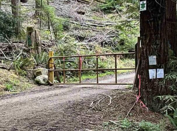 834 Blue Rock Ranch Road Zenia, CA 95595 - Photo 1 of 1 a view of a yard with plants and wooden fence