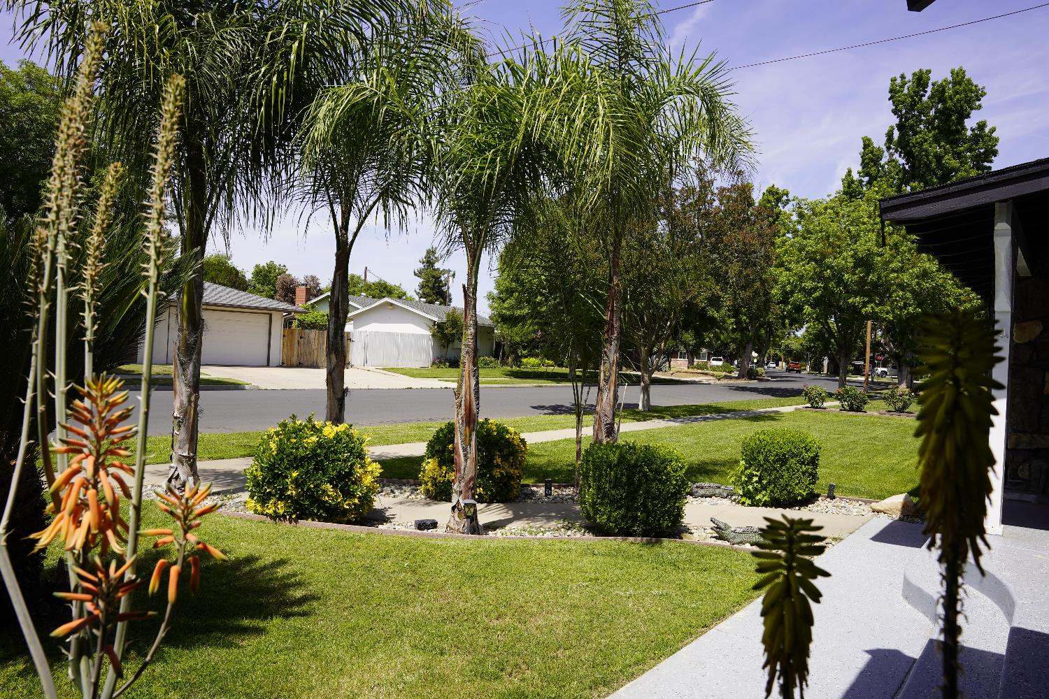 3662 North Angus Street Fresno, CA 93726 - Photo 5 of 67 a view of a garden