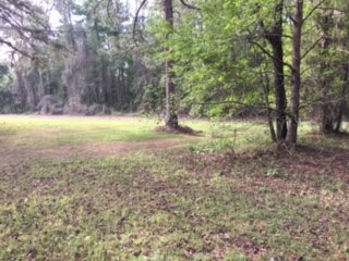 4661 Magnolia Road Tallahassee, FL 32309 - Photo 3 of 18 Gallery Image 3