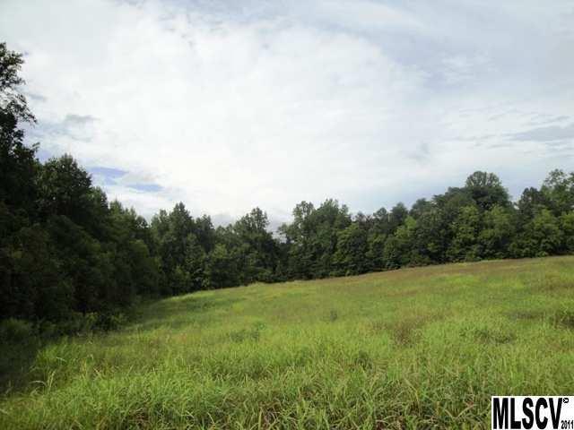 0 Williamsburg Road Olin, NC 28660 - Photo 2 of 15 a view of a field of grass and trees