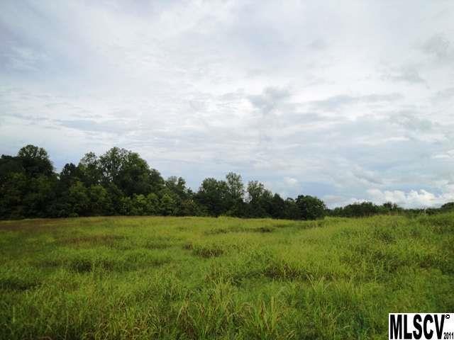 0 Williamsburg Road Olin, NC 28660 - Photo 11 of 15 a view of a grassy field