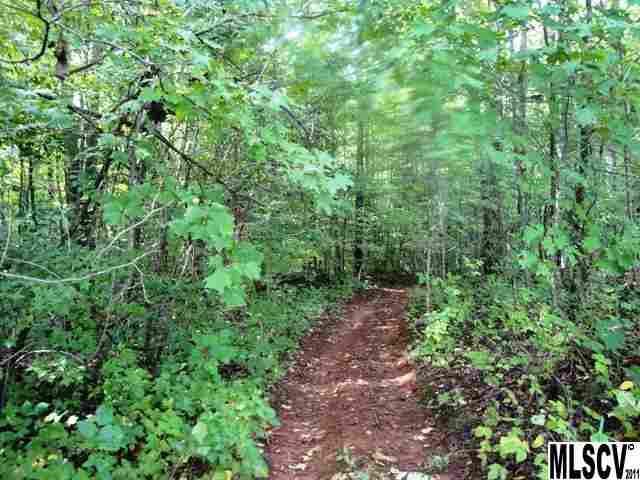 0 Williamsburg Road Olin, NC 28660 - Photo 12 of 15 a view of a large yard with lots of green space