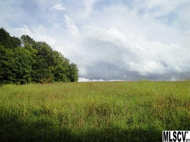 0 Williamsburg Road Olin, NC 28660 - Photo 6 of 15 a view of outdoor space and yard