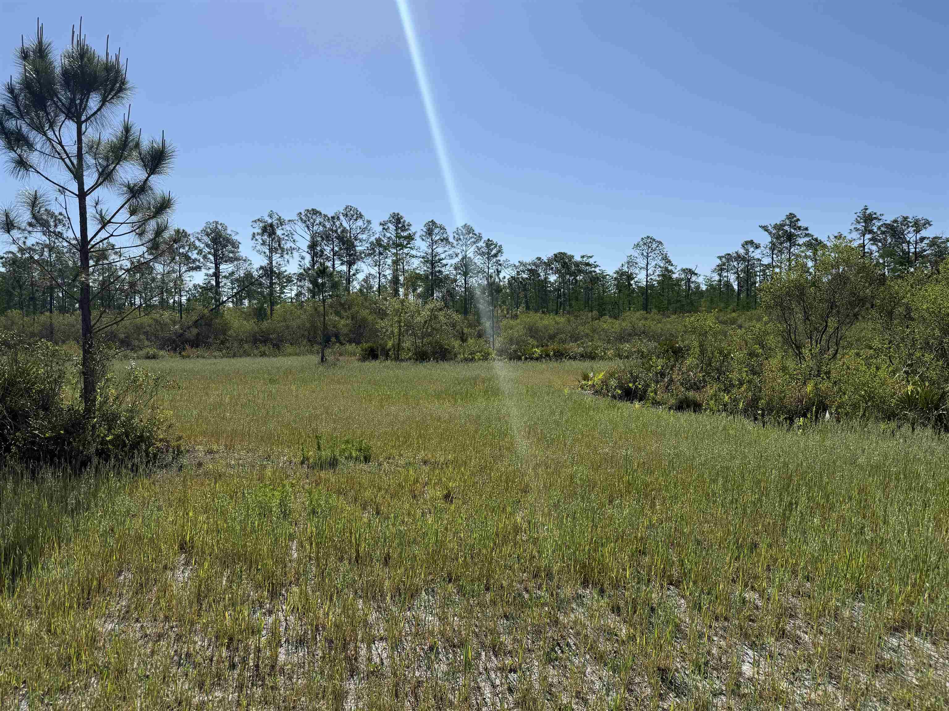 0 Madison Main Line Road Perry, FL 32347 - Photo 25 of 50