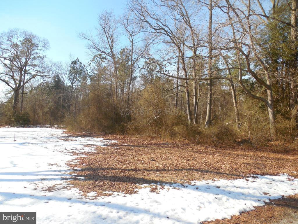Holt Road Parsonsburg, MD 21849 - Photo 1 of 15 Gallery Image 1