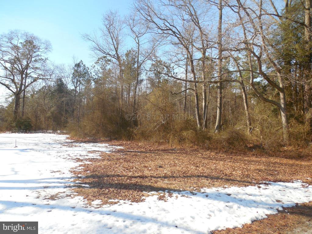Holt Road Parsonsburg, MD 21849 - Photo 2 of 15 Gallery Image 2
