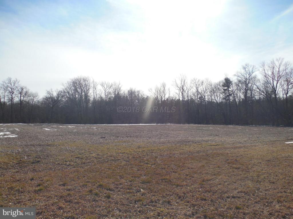 Holt Road Parsonsburg, MD 21849 - Photo 14 of 15 Gallery Image 14