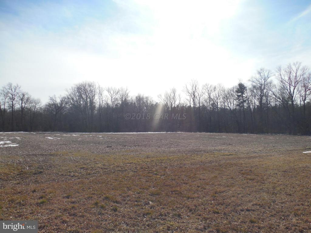 Holt Road Parsonsburg, MD 21849 - Photo 15 of 15 Gallery Image 15