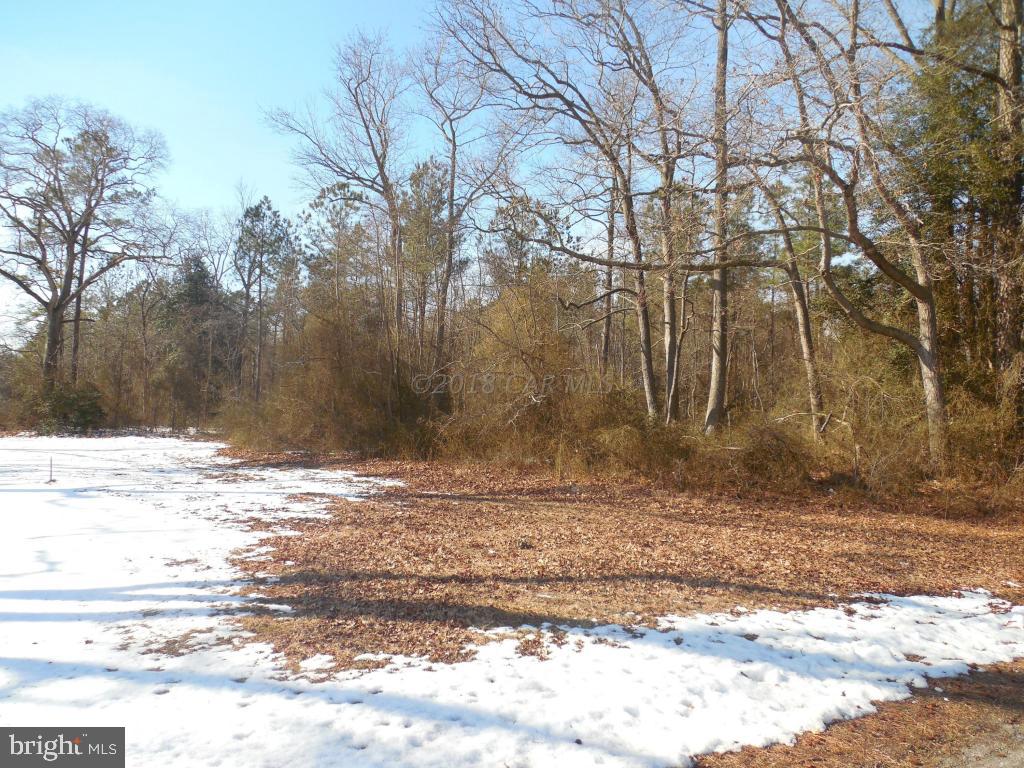 Holt Road Parsonsburg, MD 21849 - Photo 3 of 15 Gallery Image 3