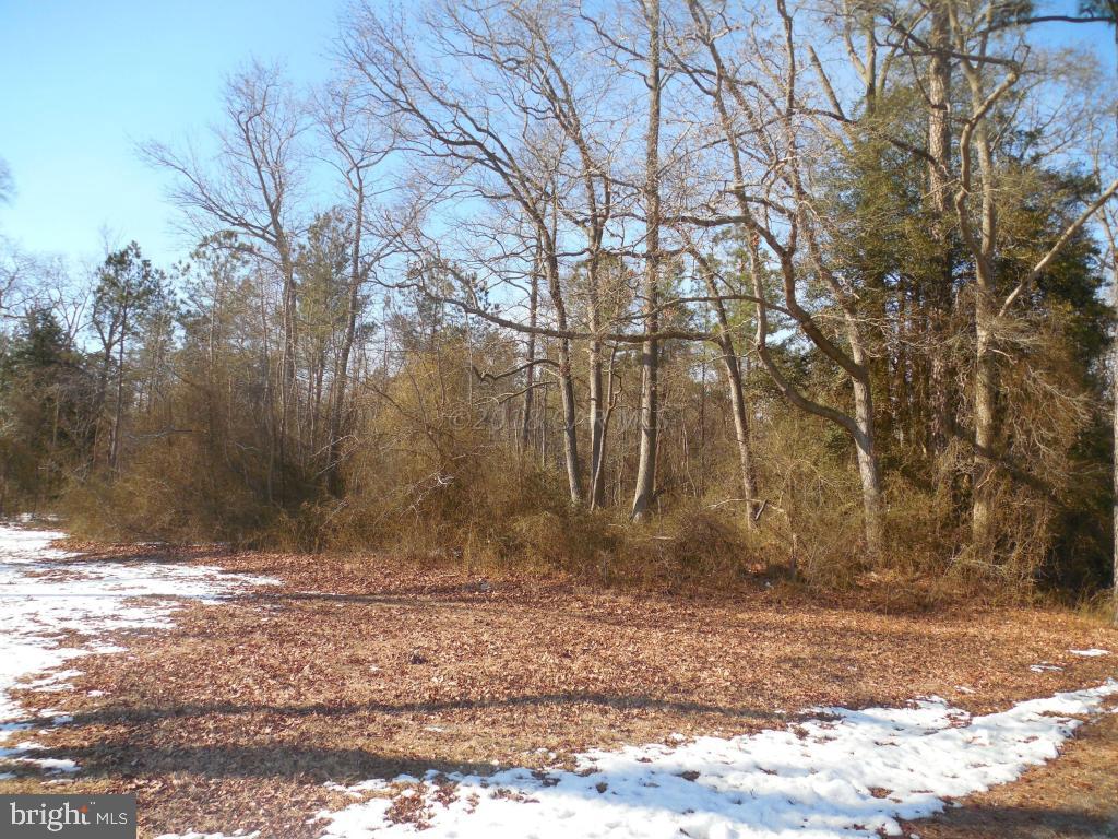 Holt Road Parsonsburg, MD 21849 - Photo 5 of 15 Gallery Image 5