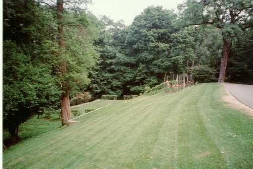 730 Chestnut Road Edgeworth, PA 15143 - Photo 5 of 8 Land.