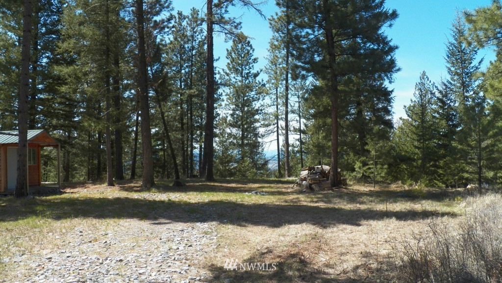 0 Lone Pine Trail Riverside, WA 98849 - Photo 1 of 1 Gallery Image 1