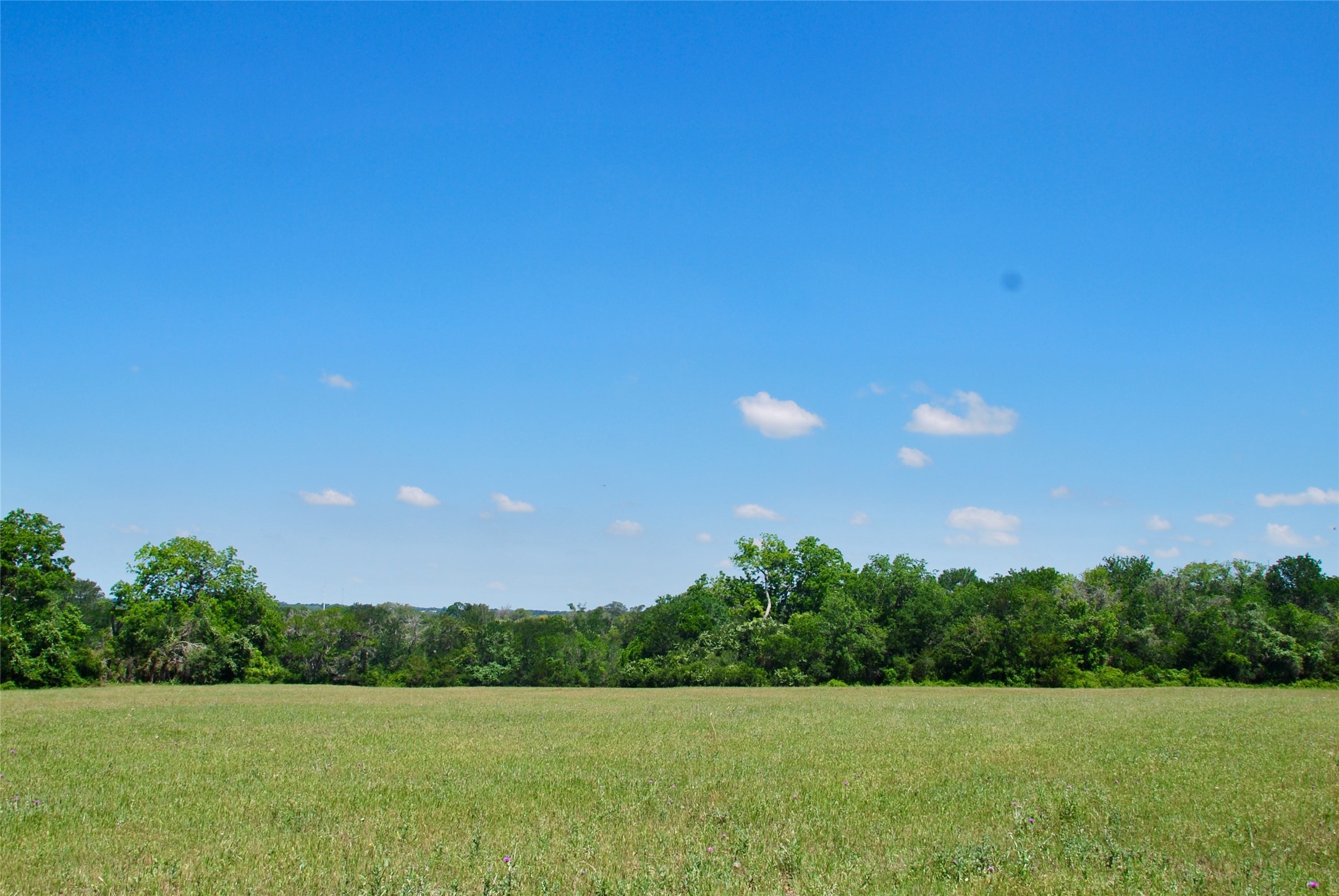 1049 Muehr Road Weimar, TX 78962 - Photo 9 of 24 a view of a garden with an outdoor space
