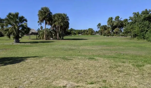a view of a field with a tree